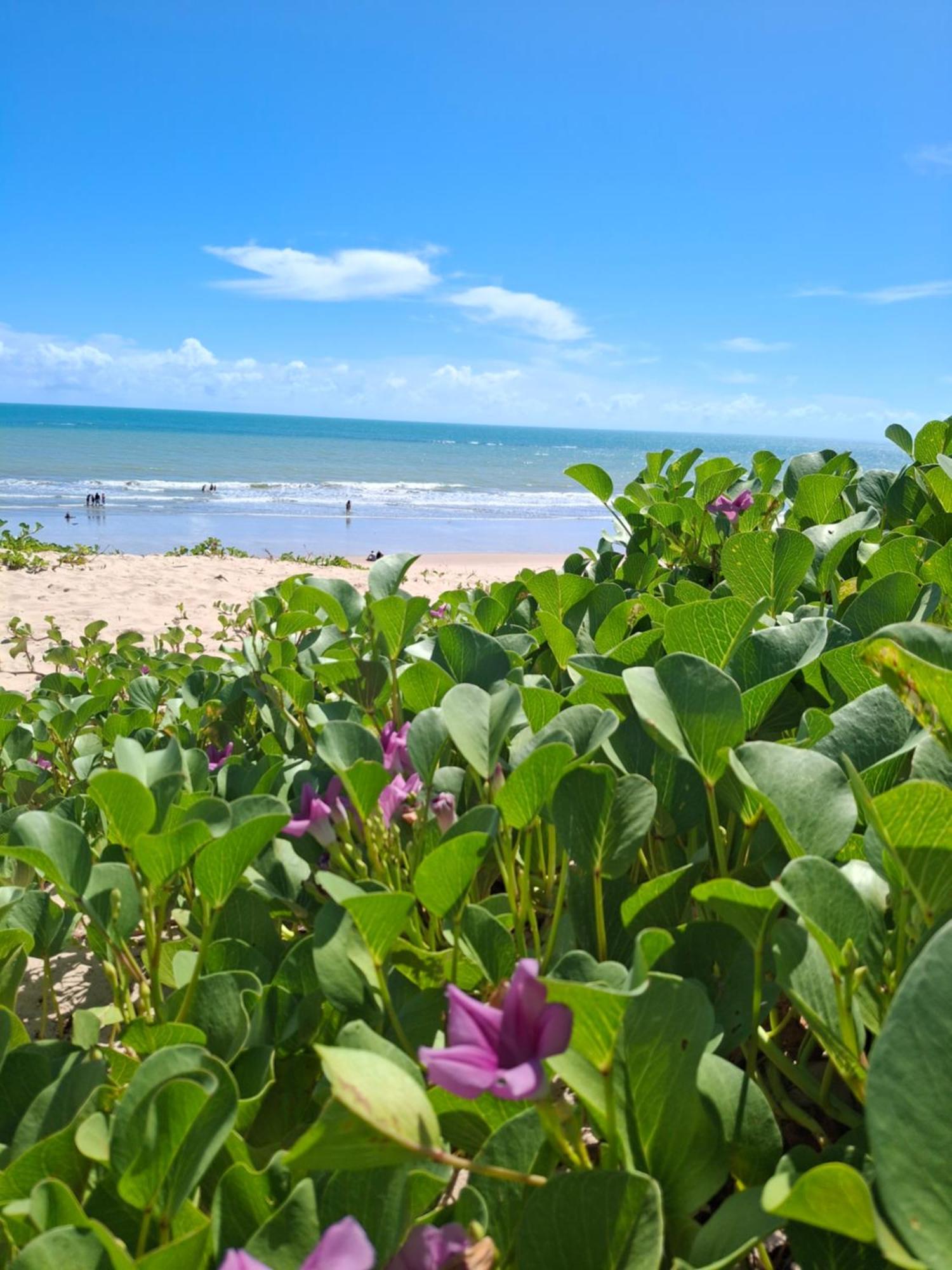Manga Rosa Hospedagem Canoa Quebrada Extérieur photo